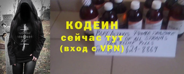 первитин Гусев