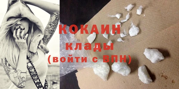 первитин Гусев